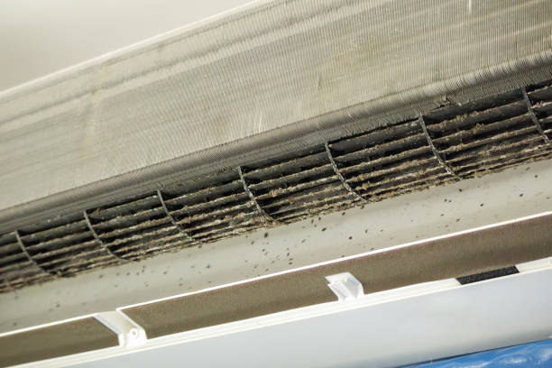 Best Professional Duct Cleaning Services  in Newark, TX